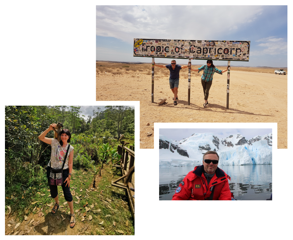 Reisiveeb-aivejaandrus